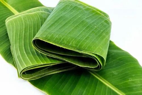 Green Original Banana Leaf