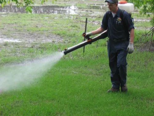 Mosquito Control Treatment Service