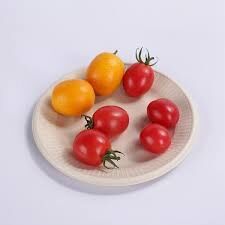 Round Sugarcane Bagasse Plate