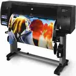 Vinyl Printing Service