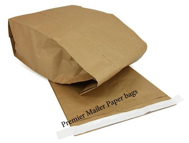 E commerce Paper Bag