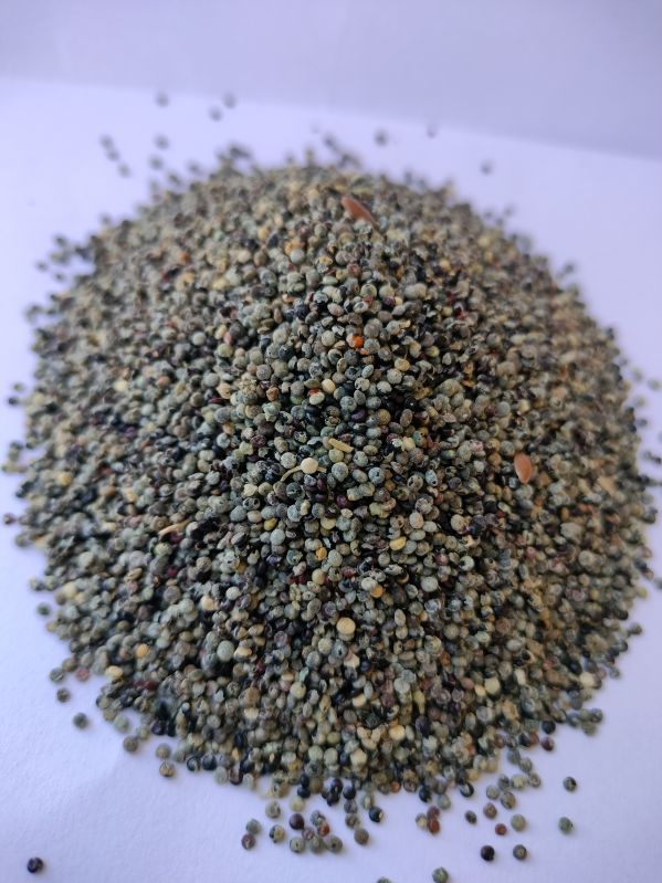 Raw Black Quinoa Seeds