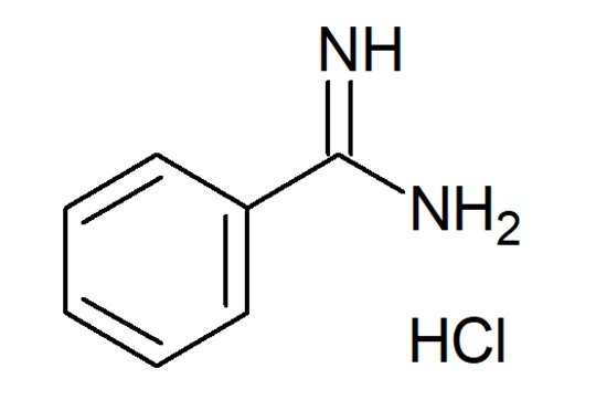 Benzamidine HCL ( CAS No - 1670-14-0)