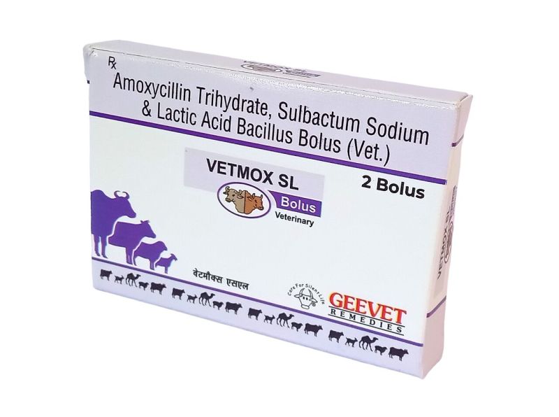 Amoxycillin, Sulbactam And Lactic Acid Bacillus Bolus