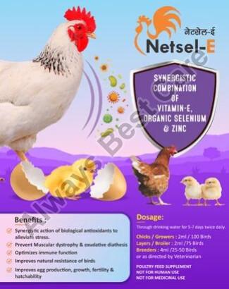 Netsel E Livestock Supplement