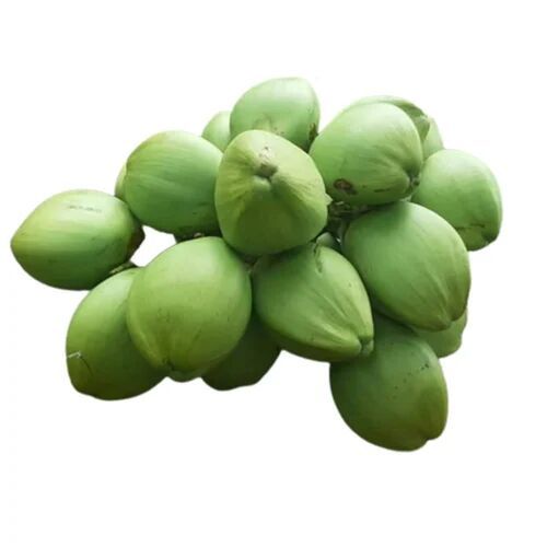 Fresh Tender Coconut