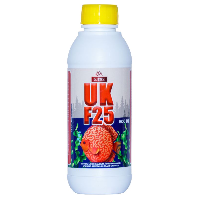 Dr. Bsk UK F25 Syrup