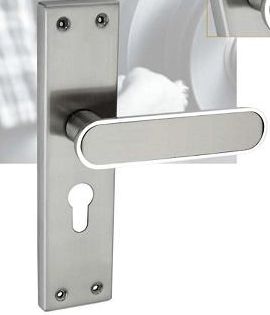 Stainless Steel Mortise Handle