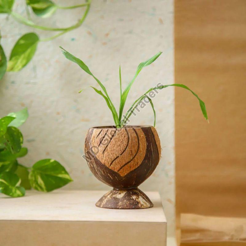 Coconut Shell Flower Pot