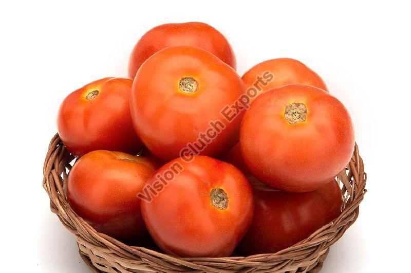 Fresh Tomato