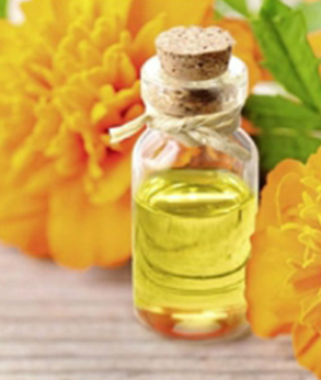 Tagetes Essential Oil