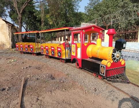 Amusement Park Track Train
