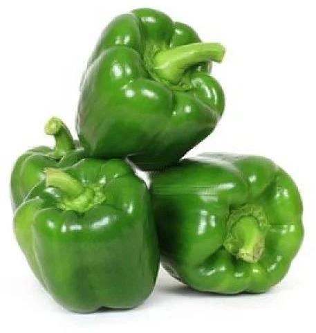 Fresh Capsicum