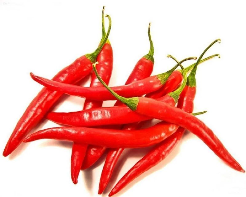 Fresh Red Chilli