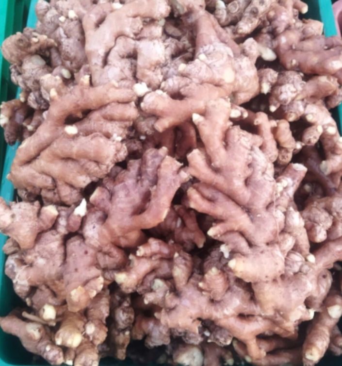 Fresh Ginger