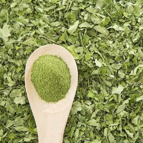 Dried Moringa Leaves