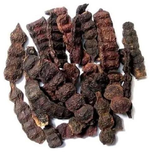 Dried Shikakai