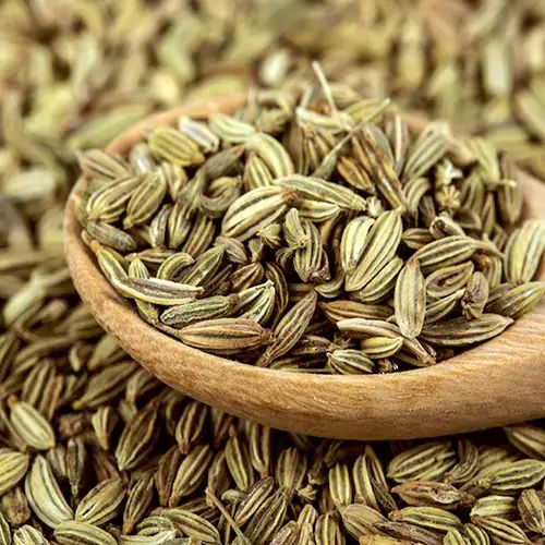 Fennel Seeds