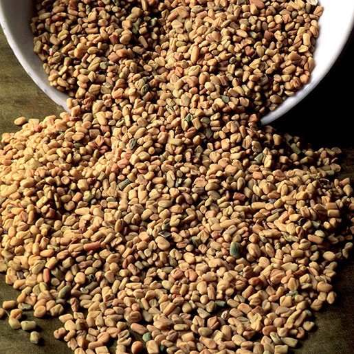 Fenugreek Seeds