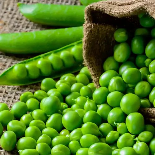 Fresh Green Peas