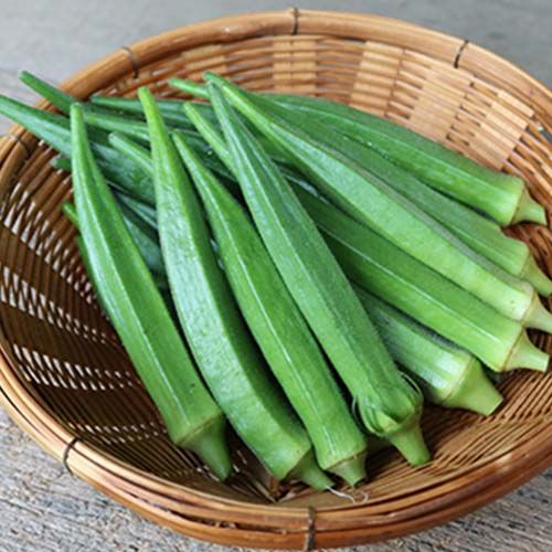 Fresh Okra