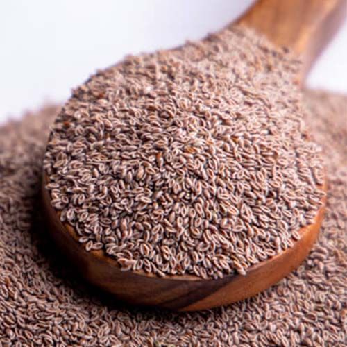 Psyllium Seeds