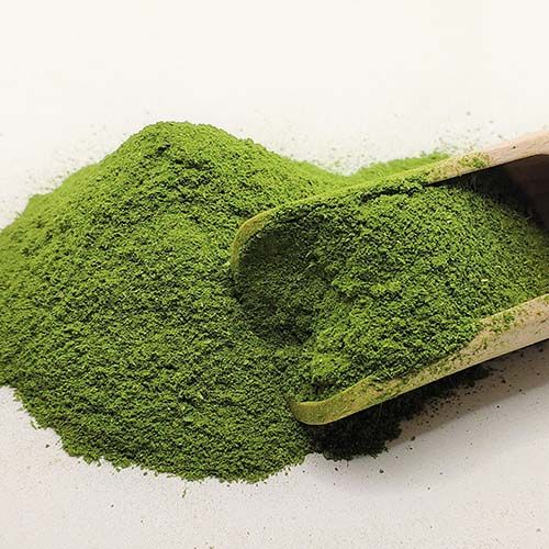 Spinach Powder