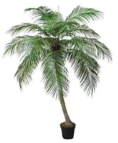 Date Palm Artificial Tree