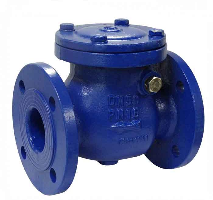 Cast Iron Swing Type Bolted Cover Check Valve