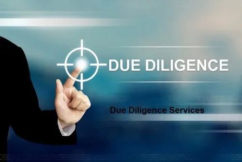 Due Diligence Audit Service