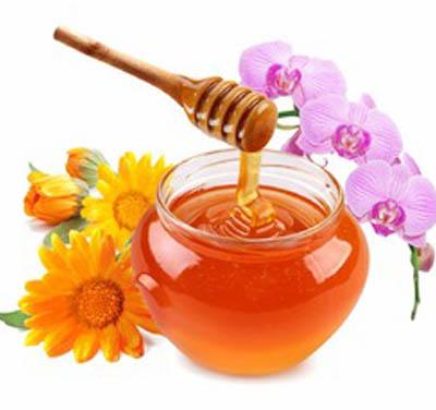 Multi Flora Honey