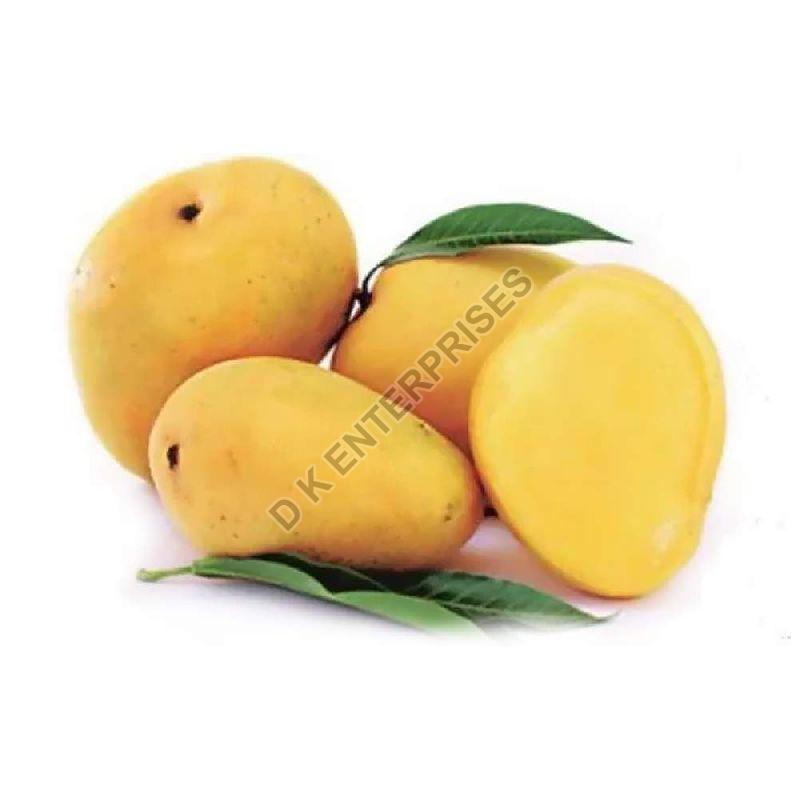 Fresh Badami Mango Exporter,Fresh Badami Mango Supplier from Raigarh India