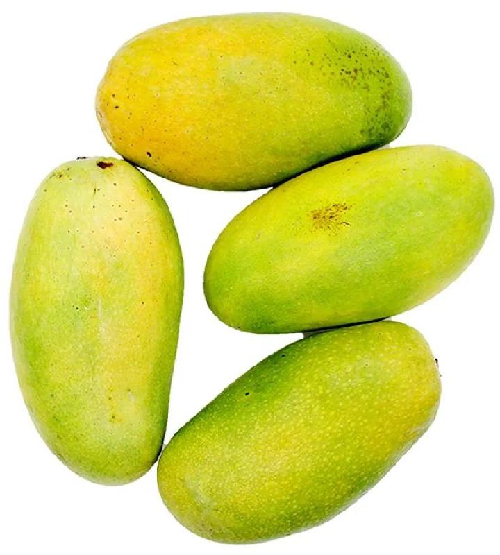 Fresh Dasheri Mango