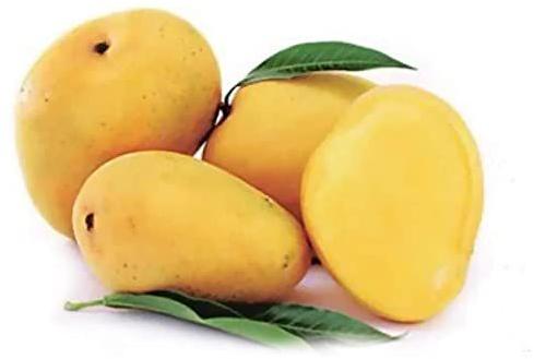 Fresh Kesar Mango