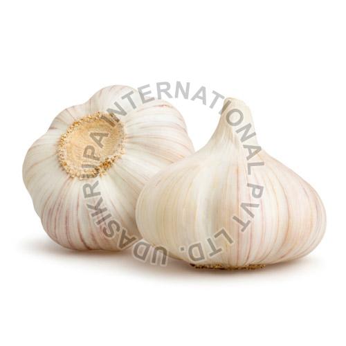 Fresh Garlic