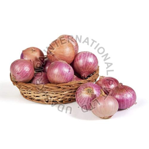 Fresh Onion