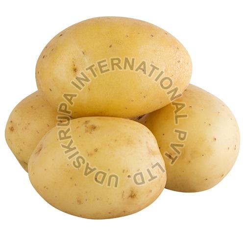 Fresh Potato