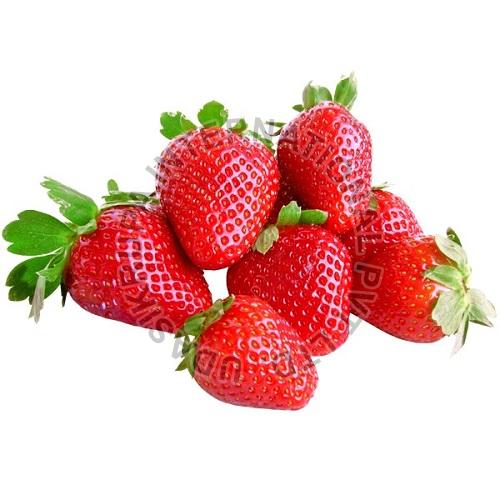 Fresh Strawberry