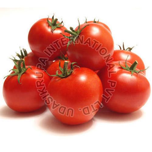 Fresh Tomato