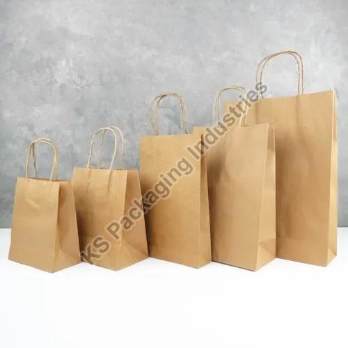 Paper Loop Handle Bag