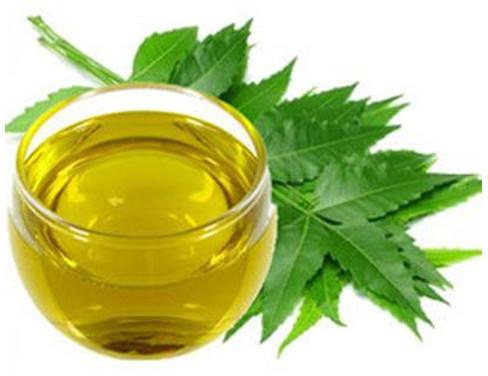 Neem Oil