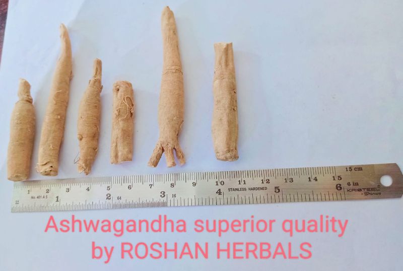 Ashwagandha Roots