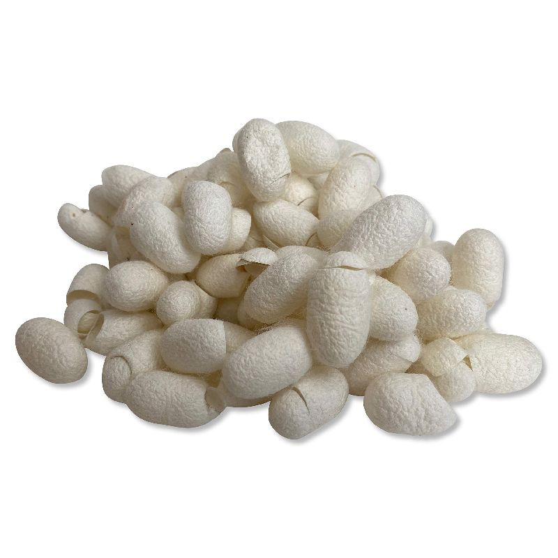 Mulberry Silk Cut Cocoons