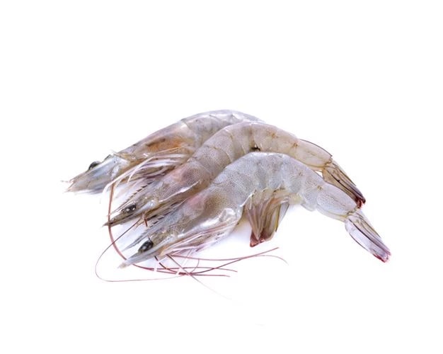 Raw Head-On Shell-On Vannamei Shrimp