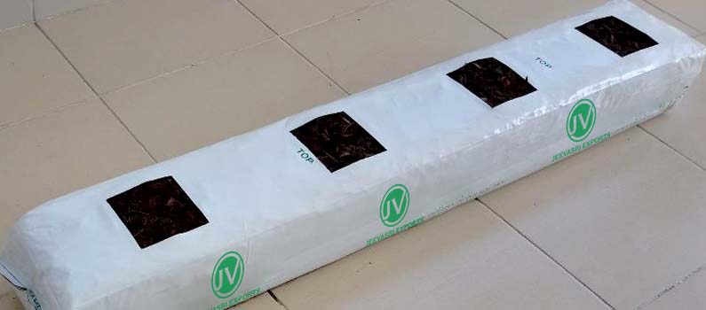 Cocopeat Grow Bags