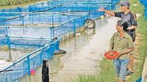 Aquaculture Development Services
