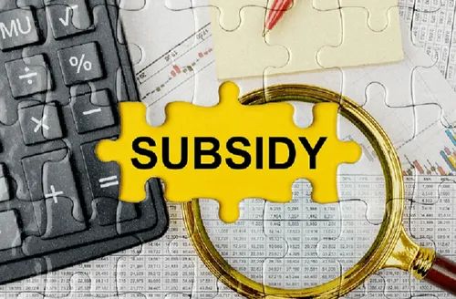 Government Subsidy Services