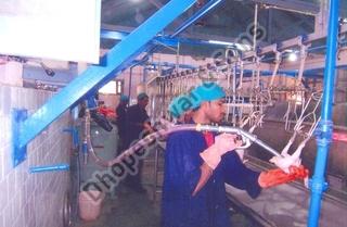 Poultry Lung Suction Gun