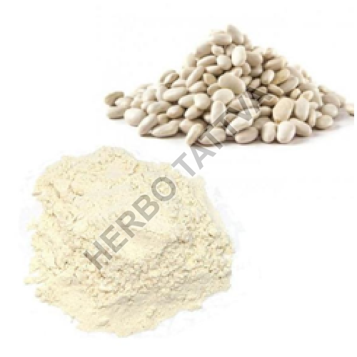 White Kidney Bean Extract Manufacturer Supplier in Bulandshahr India
