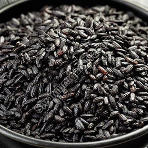 Black Rice